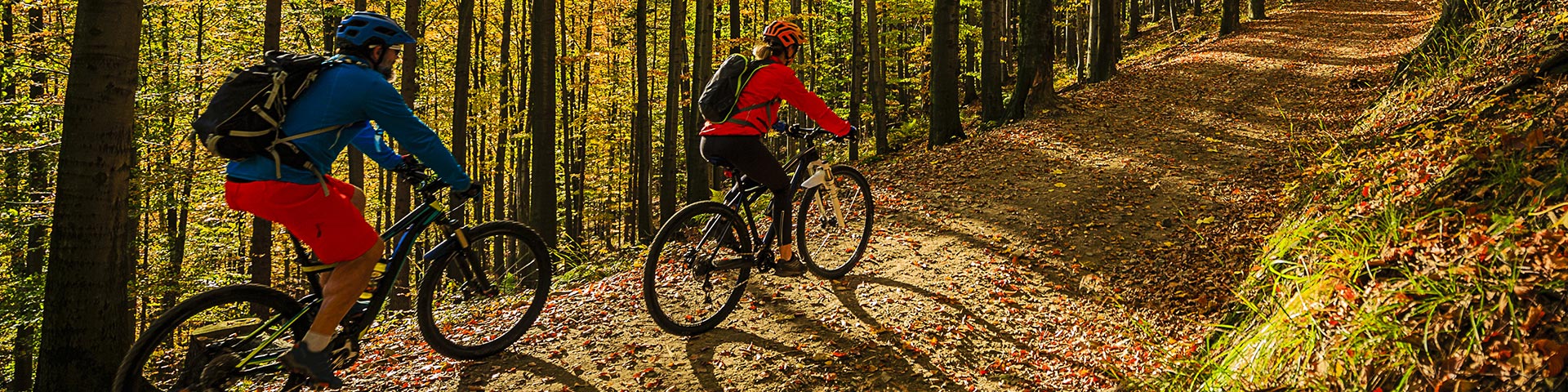 Cycling, mountain biker couple on cycle trail in autumn forest.